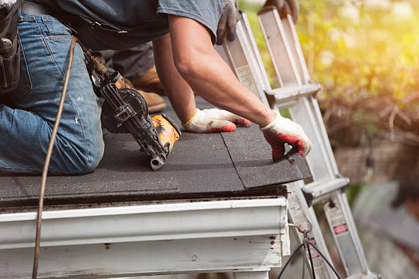 Quick and Trustworthy Emergency Roof Repair Services in Hallandale Beach, FL